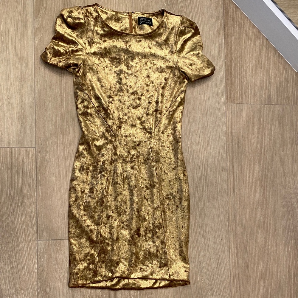 Torn by Ronny Kobo Gold  Dress